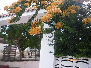 2015 06 06 et 07  ALMERIA SANTA CRUZ (125)